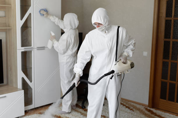 24/7 Emergency Odor Removal experts in Greenacres, WA